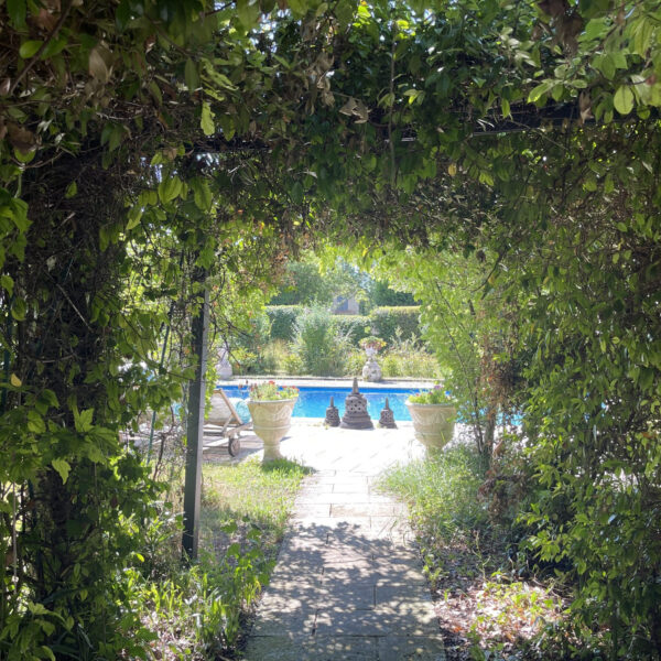 851b82ffc693251b8bf6b332998c1580