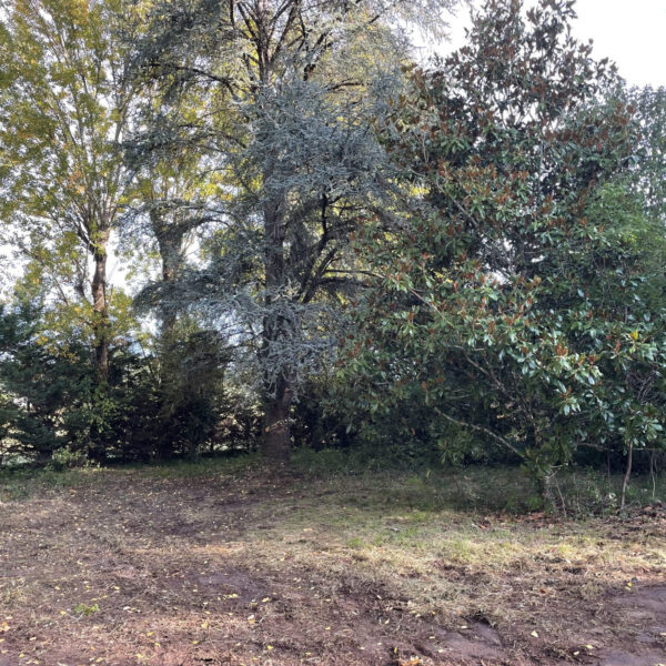 5dbe67c5b4c04a912f21451de4659039