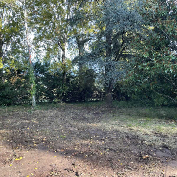 74e8f0672682d542983efc5fe763b9f6