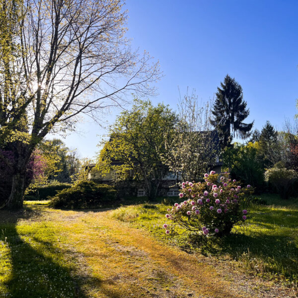 920b5cae92c4d18ec6a780266b4e0d40