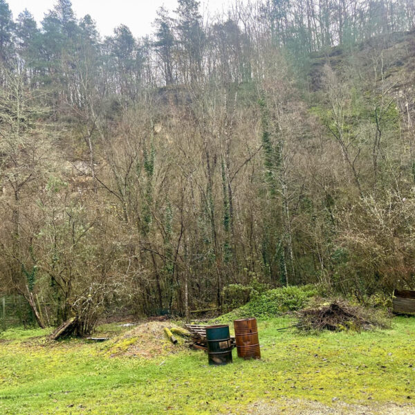 da3b46f81545477a1f8de3afd454ac46