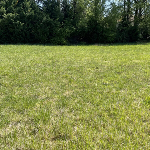 ddb182274b19d093f2b91b3f1d5cad90