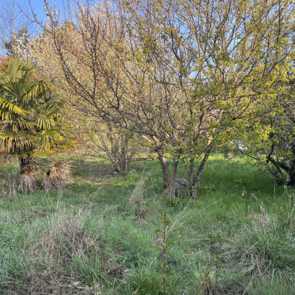 photo_039699782c6c46be6d9a61d43ea73027