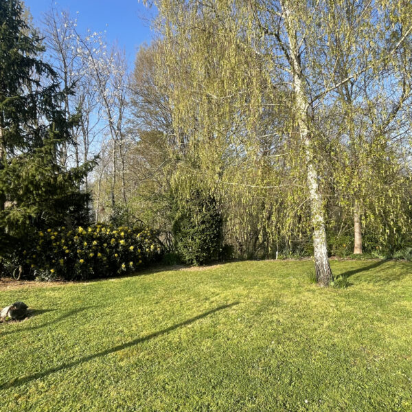 photo_268be99332fe1b258c39046c2c826c57