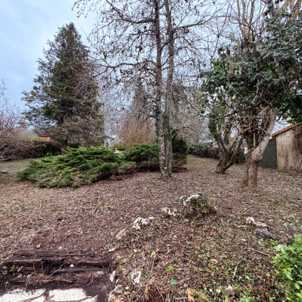 photo_5bd41e9c87ab9f67ce52a8f121dcd20b