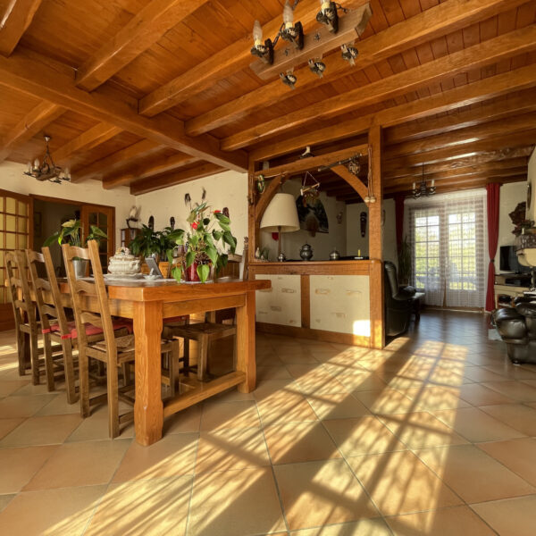 photo_81da961c74ab82c3dbcfad0589924610