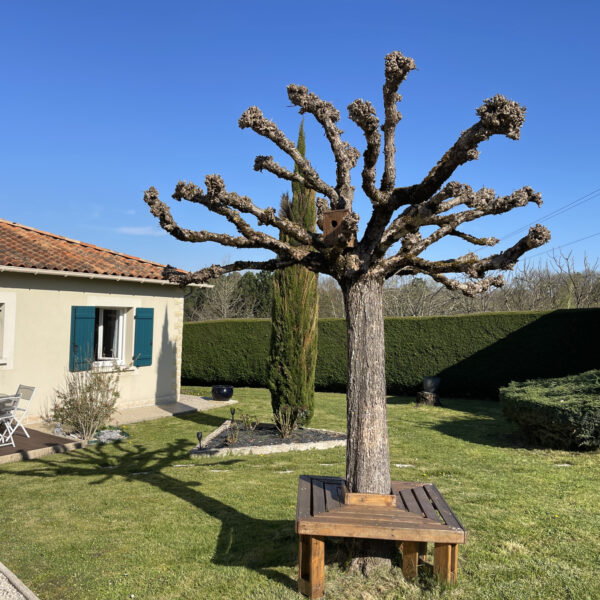 photo_835688438f0310e8d1bf4d8eb3334252