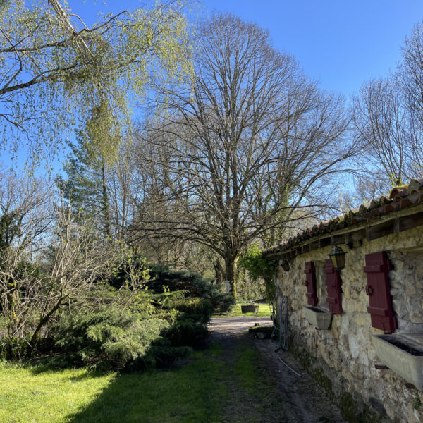 photo_a0768e363c23d6a54fcd9c96097fa03c