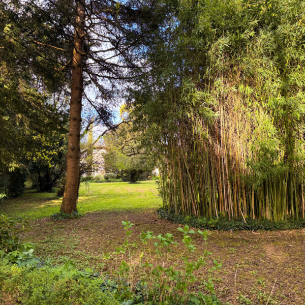 photo_ab88e2bf05e6922ee01e2ead5b20f333