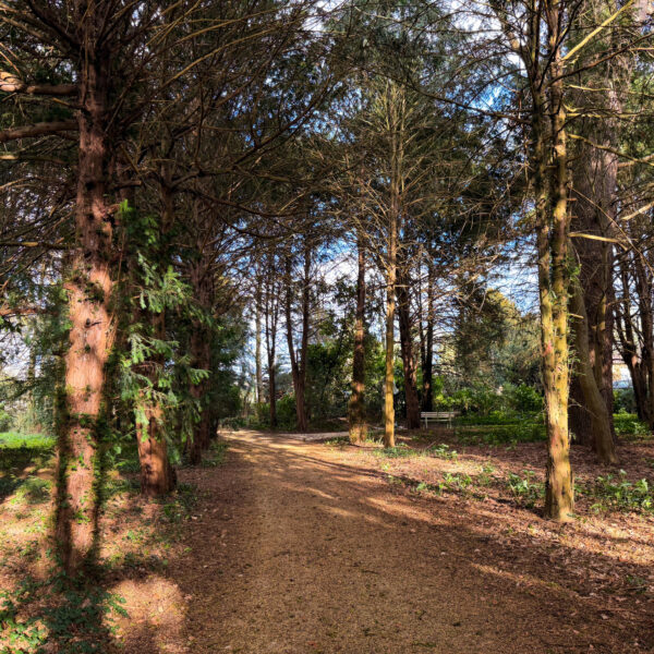 photo_b797ffea2570a22aa79d966215876d93