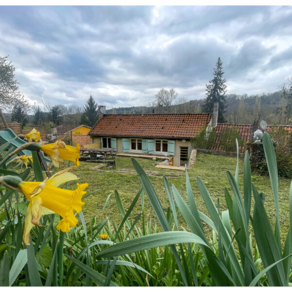 photo_e8509efc2867681513032152cbbc365b