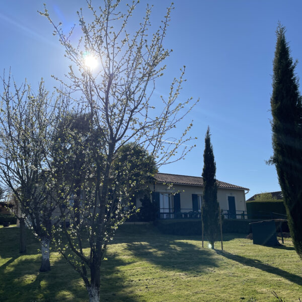 photo_f0a6800abe70b9a65c40e9135f0a2123