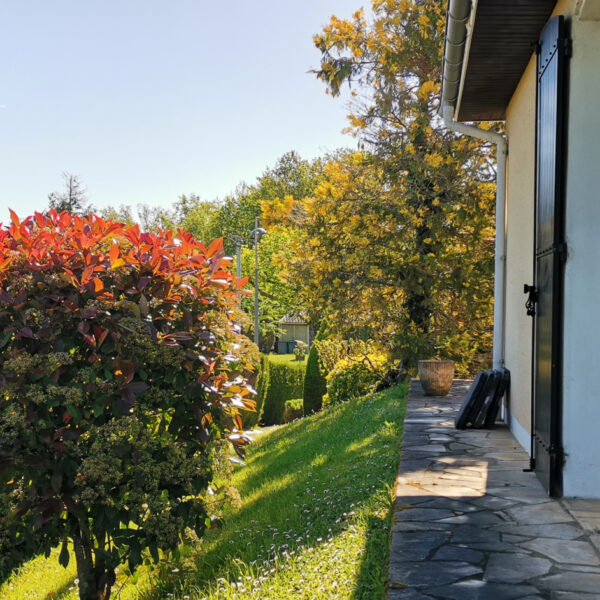 photo_f6f6c85b2bf7436d84e20ee289084b97