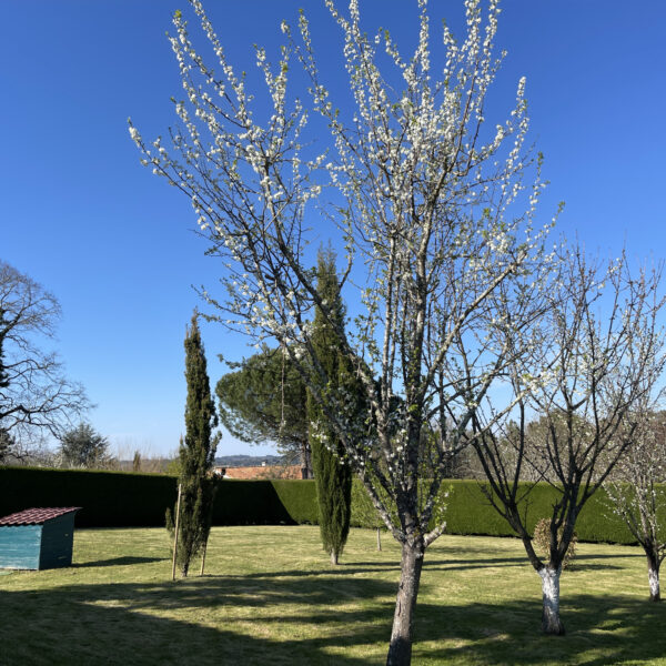 photo_fa21b89b244afd3b9f5db3b03de28eda