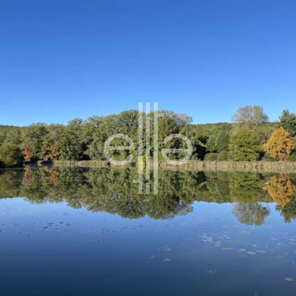 photo_ac2e5a0520cc9904fc29714779e7d395