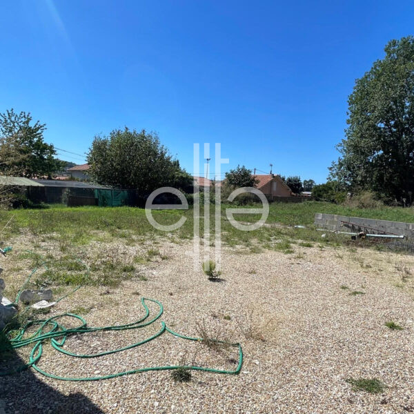 photo_1a2a25b21916bf6e61eb6410867f7ce0